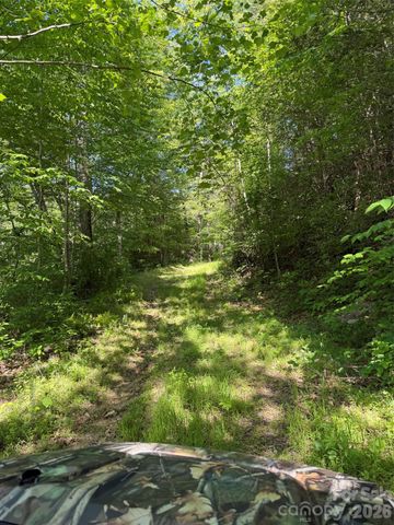 Lot 8 Parker Padgett Road, Old Fort, NC 28762
