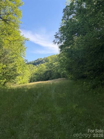 Lot 8 Parker Padgett Road, Old Fort, NC 28762