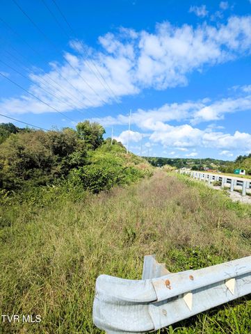 295 Dulaney Road, Mosheim, TN 37818