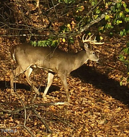 415 Beidleman Road, Bristol, TN 37620