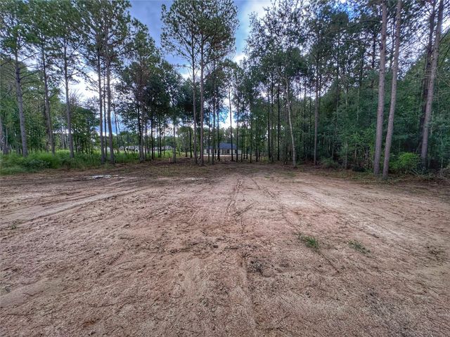 1530 Road 66119, Dayton, TX 77535