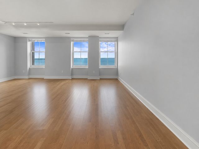 850 N Lake Shore Drive 203, Chicago, IL 60611