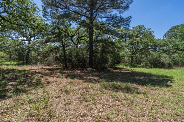 133 Roundup RDG, Smithville, TX 78957