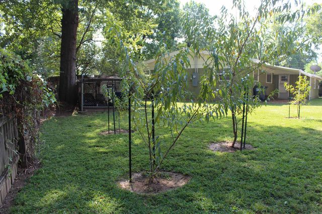 208 S Phoenix Ave, Russellville, AR 72801