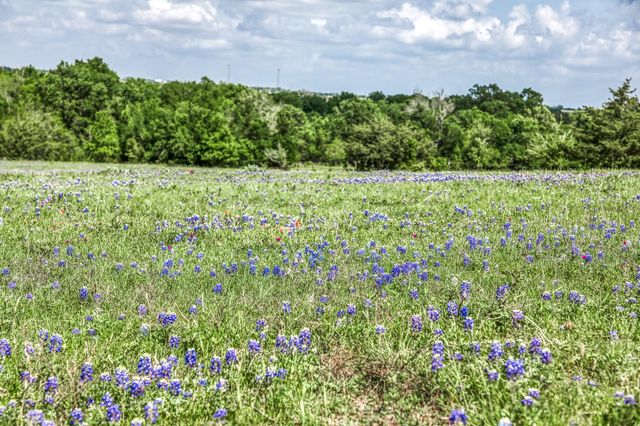 47 Acres Fm 50, Brenham, TX 77833
