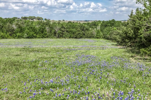 47 Acres Fm 50, Brenham, TX 77833
