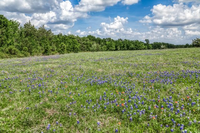 47 Acres Fm 50, Brenham, TX 77833