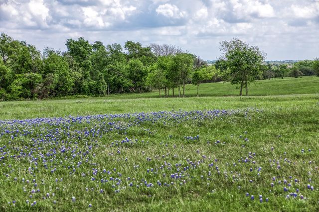 47 Acres Fm 50, Brenham, TX 77833