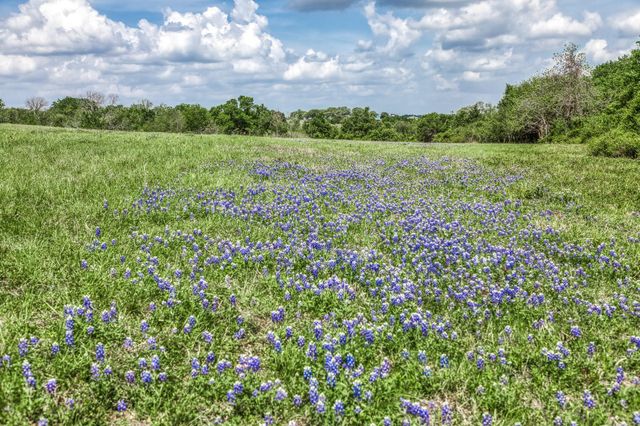 47 Acres Fm 50, Brenham, TX 77833