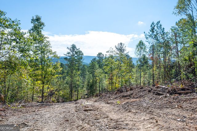 3793 HWY 140 NE, Rydal, GA 30171