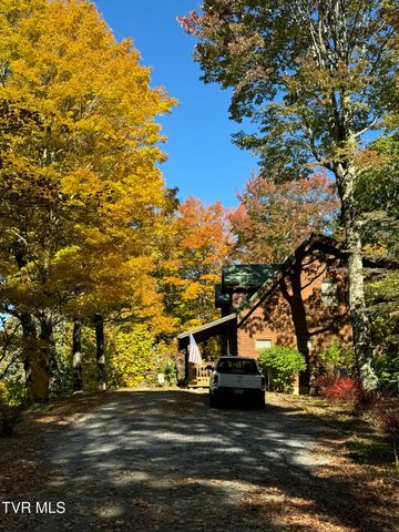 104 Crestwood Drive, Roan Mountain, TN 37687