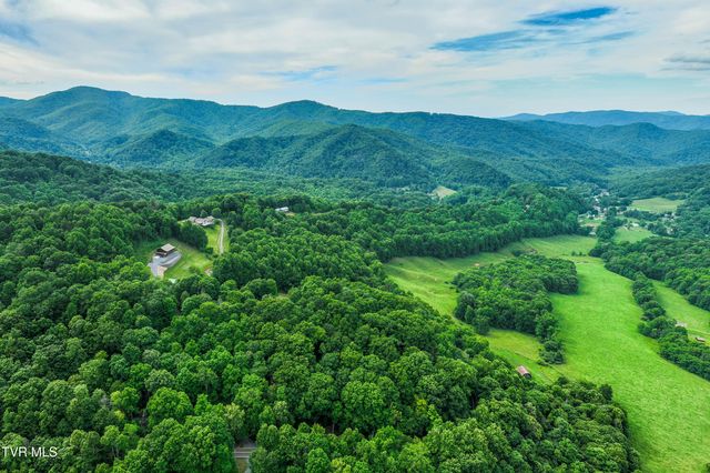 104 Crestwood Drive, Roan Mountain, TN 37687