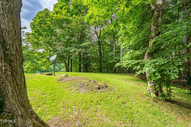 104 Crestwood Drive, Roan Mountain, TN 37687