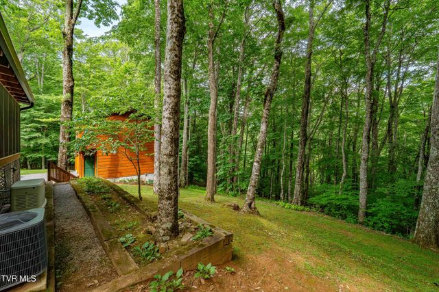 104 Crestwood Drive, Roan Mountain, TN 37687