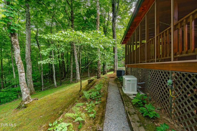 104 Crestwood Drive, Roan Mountain, TN 37687
