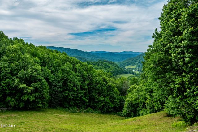 104 Crestwood Drive, Roan Mountain, TN 37687
