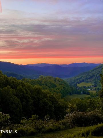 104 Crestwood Drive, Roan Mountain, TN 37687