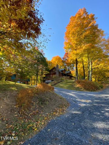 104 Crestwood Drive, Roan Mountain, TN 37687