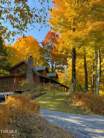 104 Crestwood Drive, Roan Mountain, TN 37687