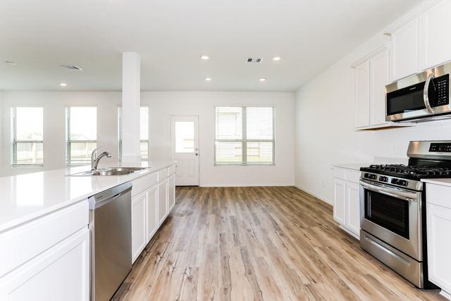 23926 Lakota Canyon Drive, Hockley, TX 77447