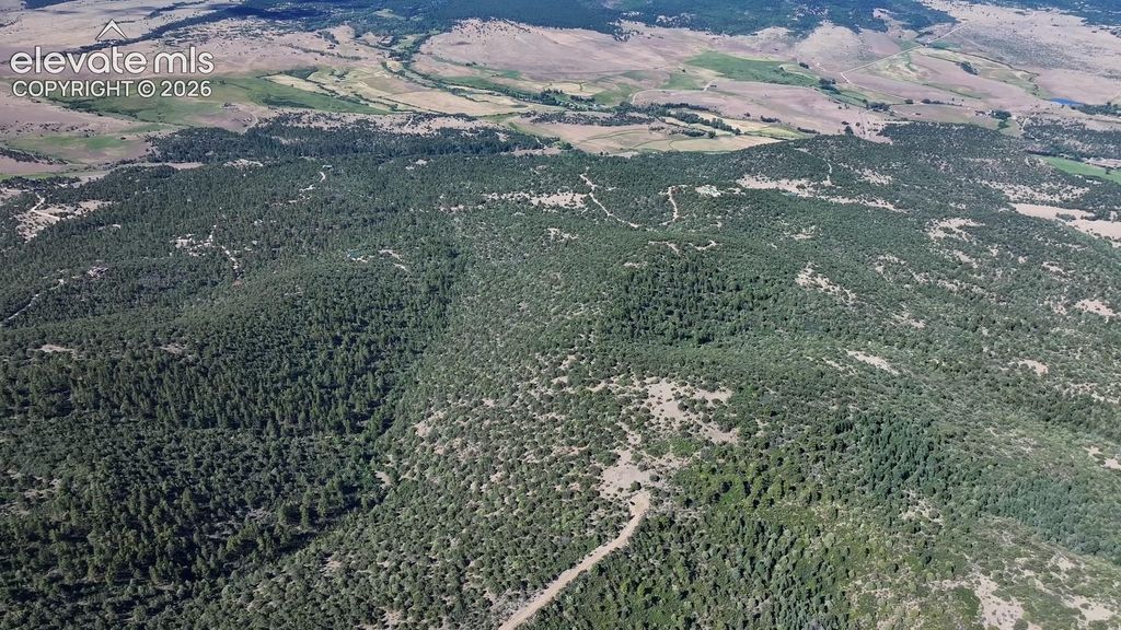 838 Ridgeway Road, Cotopaxi, CO 81223 — photo 5