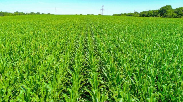 TBD CR 459, Troy, TX 76524
