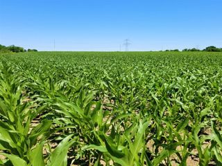 TBD CR 459, Troy, TX 76524