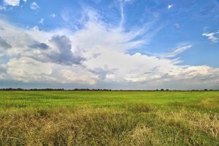 TBD Ward Line Road, Lake Charles, LA