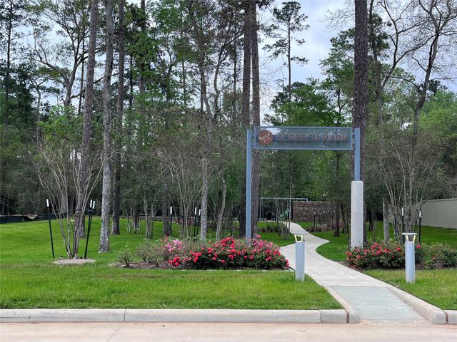 40507 Tyto Lane, Magnolia, TX 77354