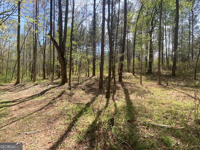 0 Highway 98, Homer, GA 30547