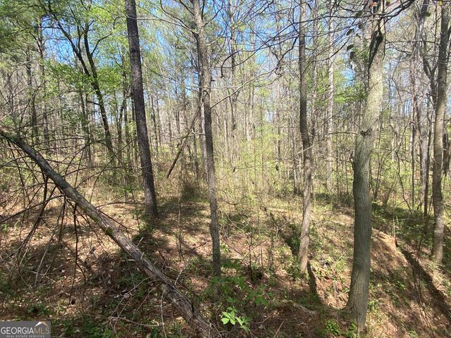 0 Highway 98, Homer, GA 30547