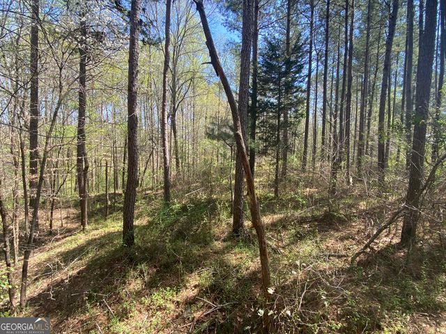 0 Highway 98, Homer, GA 30547