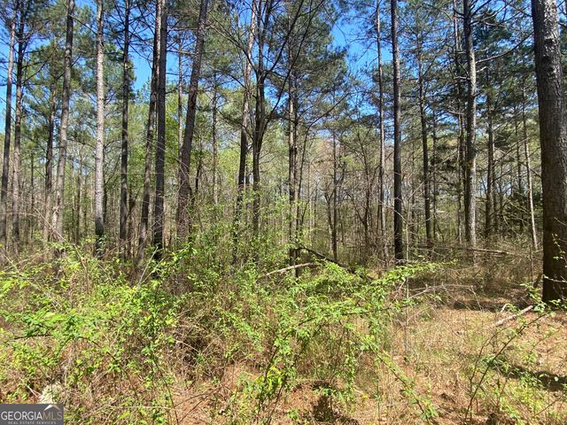 0 Highway 98, Homer, GA 30547