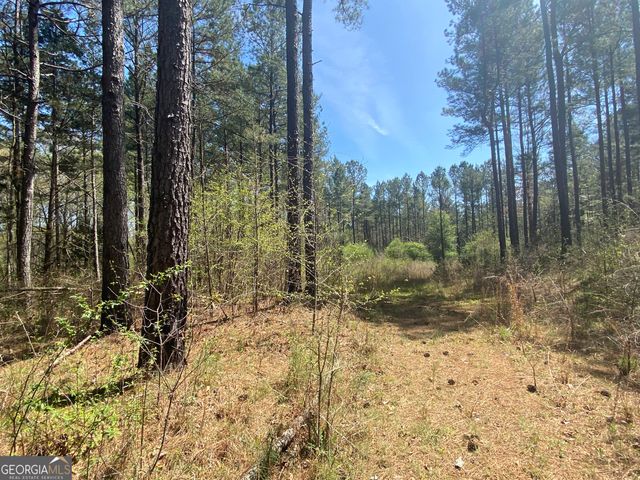 0 Highway 98, Homer, GA 30547