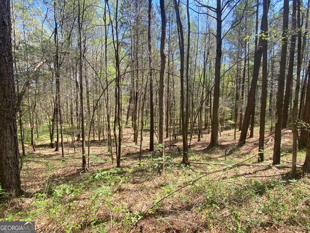 0 Highway 98, Homer, GA 30547