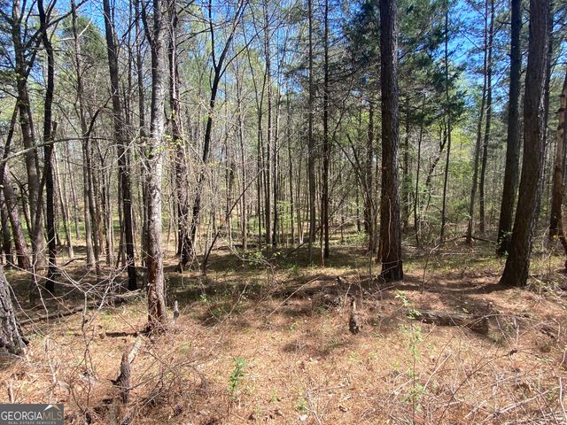 0 Highway 98, Homer, GA 30547