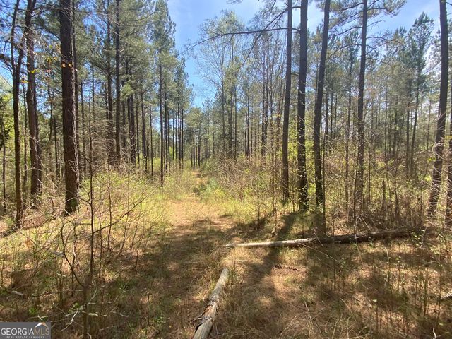 0 Highway 98, Homer, GA 30547