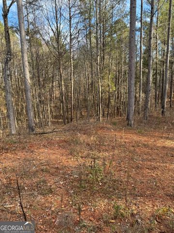 0 Highway 98, Homer, GA 30547