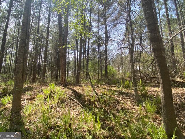 0 Highway 98, Homer, GA 30547