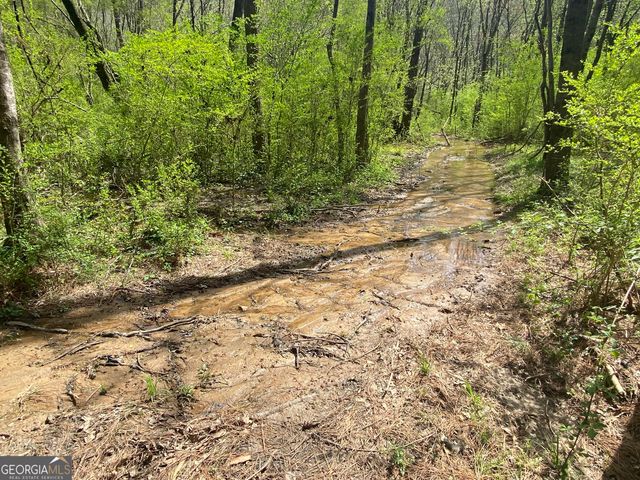 0 Highway 98, Homer, GA 30547