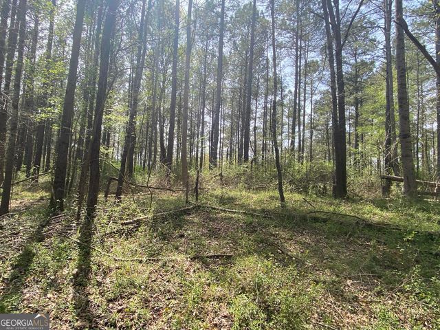 0 Highway 98, Homer, GA 30547