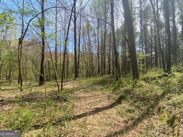 0 Highway 98, Homer, GA 30547