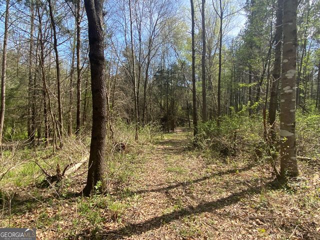 0 Highway 98, Homer, GA 30547