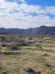 0 Cottonwood, Joshua Tree, CA 92252
