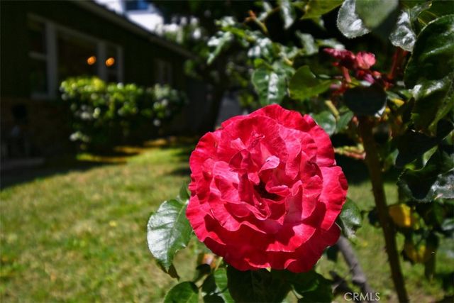 13902 Calvert Street, Valley Glen, CA 91401