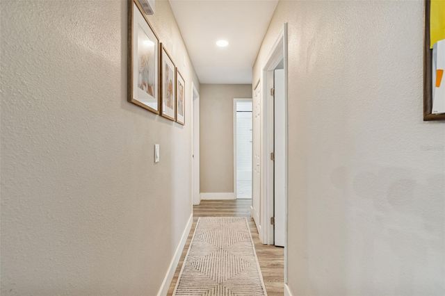 11313 CARROLLWOOD ESTATES DRIVE, Tampa, FL 33618