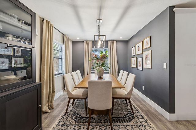 11313 CARROLLWOOD ESTATES DRIVE, Tampa, FL 33618