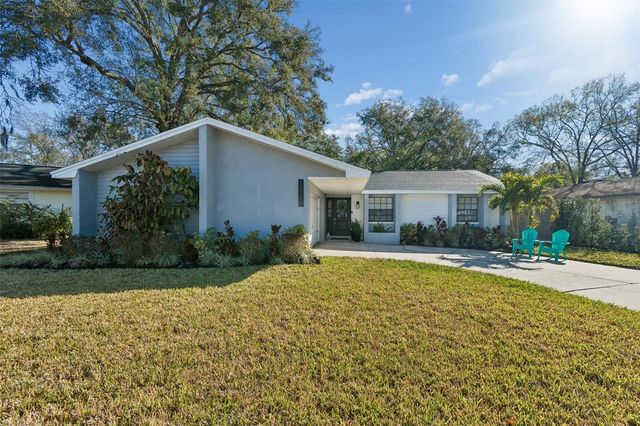 11313 CARROLLWOOD ESTATES DRIVE, Tampa, FL 33618