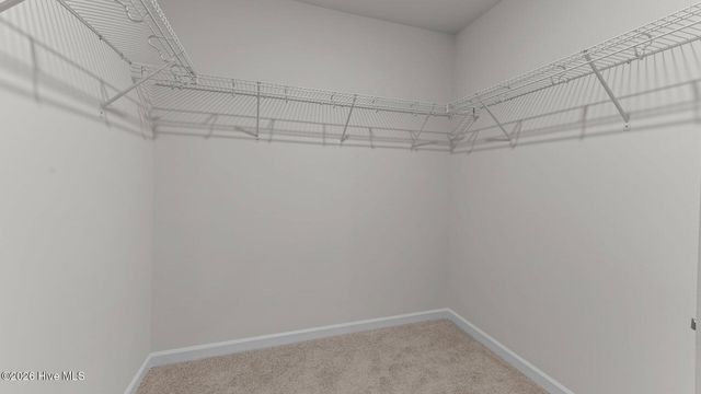 4032 Topsail Trail, New Bern, NC 28560