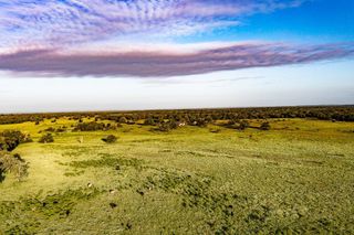 2993 County Road 320, Lexington, TX 78947